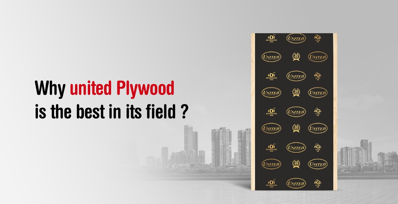 Best Shuttering Plywood Manufacturers in Haryana